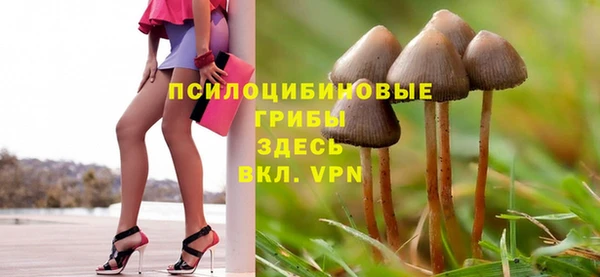 мескалин Белокуриха